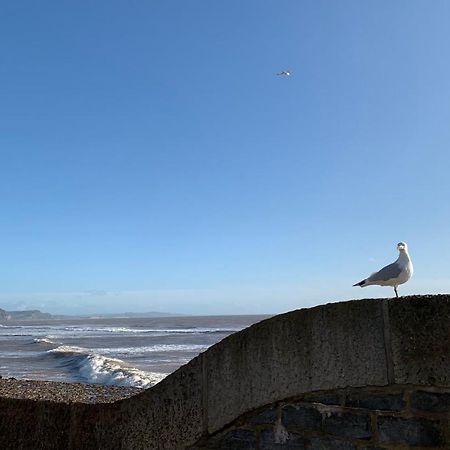 Nettle Bank Bed and Breakfast Lyme Regis Buitenkant foto