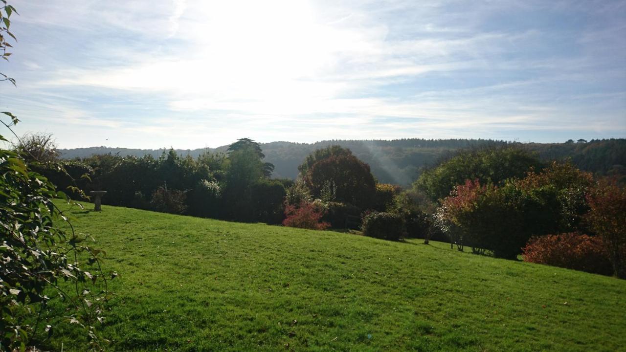 Nettle Bank Bed and Breakfast Lyme Regis Buitenkant foto