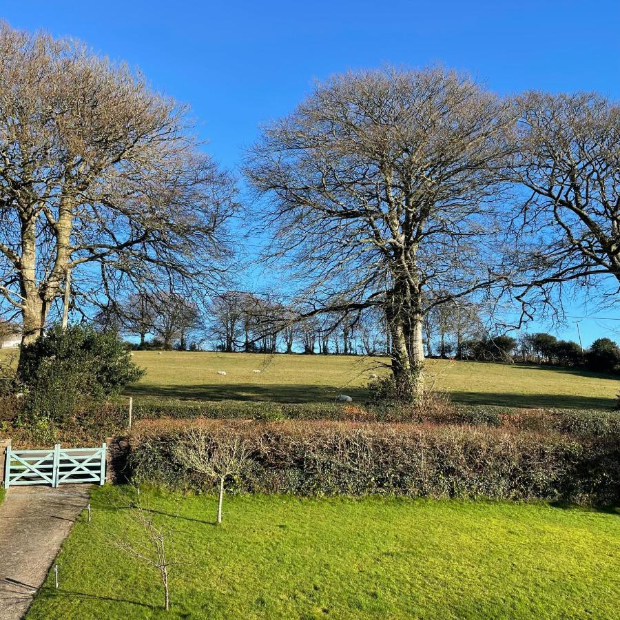 Nettle Bank Bed and Breakfast Lyme Regis Buitenkant foto