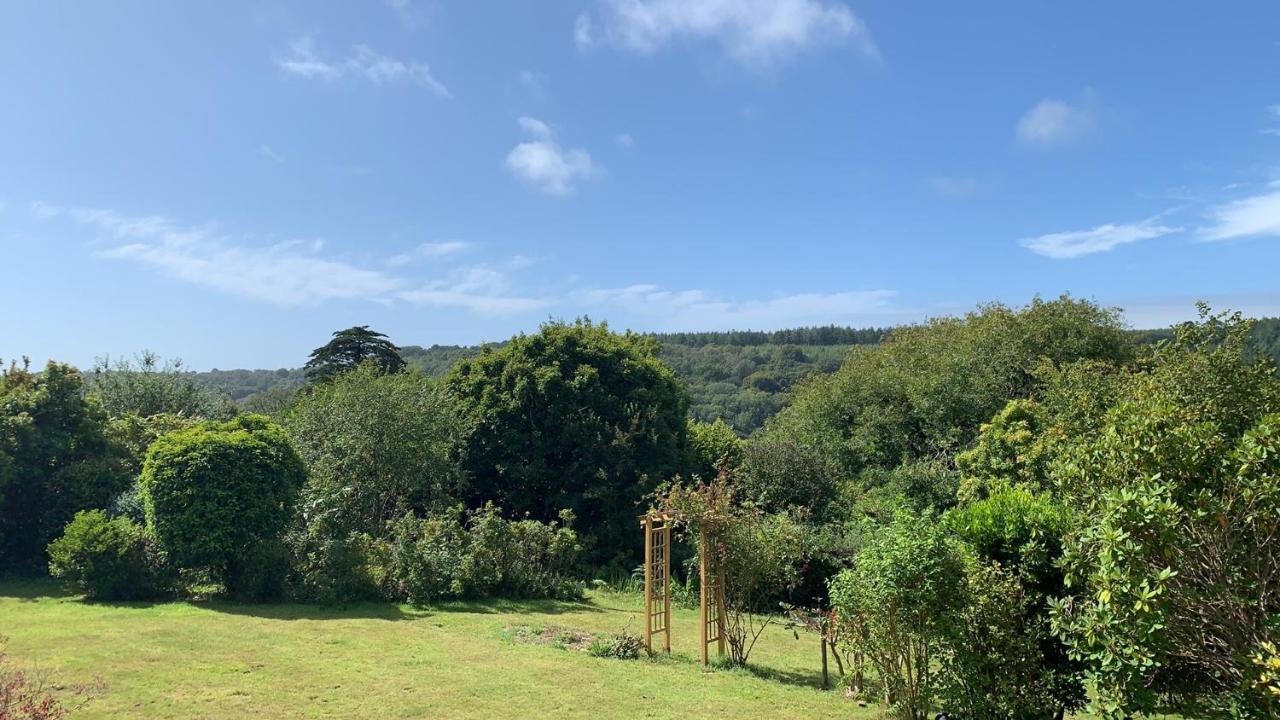 Nettle Bank Bed and Breakfast Lyme Regis Buitenkant foto