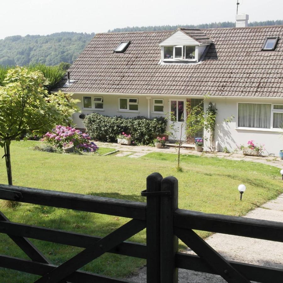 Nettle Bank Bed and Breakfast Lyme Regis Buitenkant foto