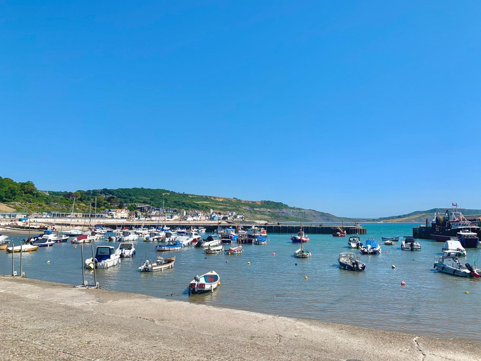 Nettle Bank Bed and Breakfast Lyme Regis Buitenkant foto