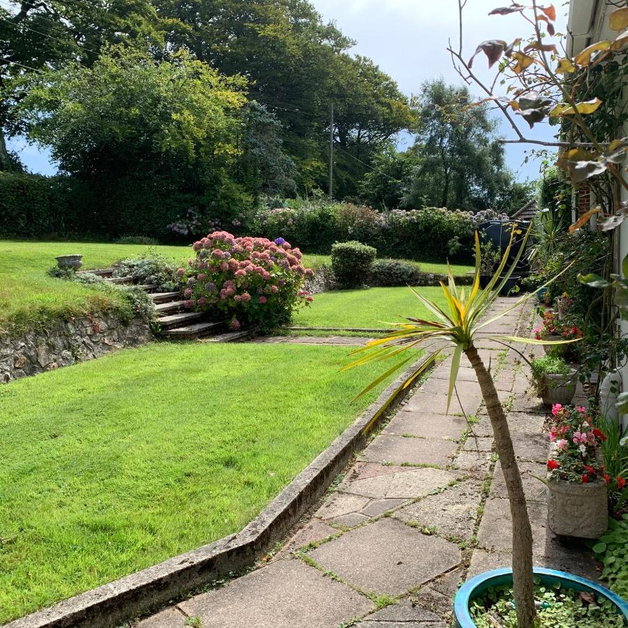 Nettle Bank Bed and Breakfast Lyme Regis Buitenkant foto