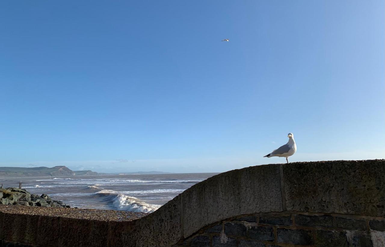 Nettle Bank Bed and Breakfast Lyme Regis Buitenkant foto